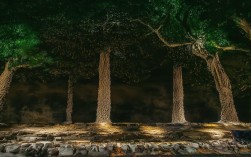 豫剧经典曲目下载，有哪些靠谱的下载渠道？