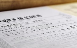 戏曲学校招生录用表的具体录用内容与审核要点有哪些？